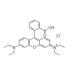 Rhodamine B CAS 81-88-9