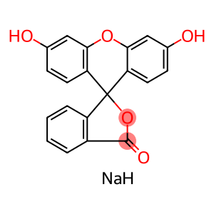 Fluorescein disodium salt CAS 518-47-8