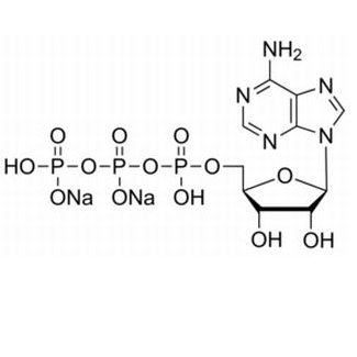 Adenosine 5'-triphosphate disodium salt CAS 987-65-5(51963-61-2)