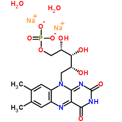 Riboflavin 5'-monophosphate sodium salt dihydrate CAS 6184-17-4