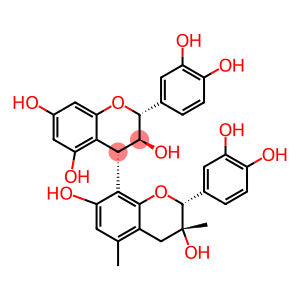 Grape Seed Extract CAS 84929-27-1