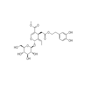 Oleuropein CAS 32619-42-4