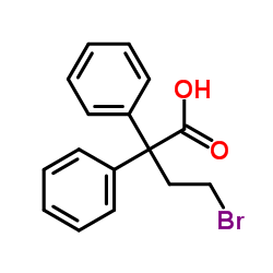 Yeast extract CAS 8013-01-2